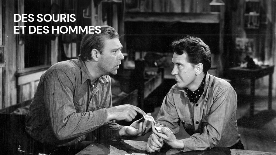 Le Groupe Des Souris Et Des Hommes En Direct