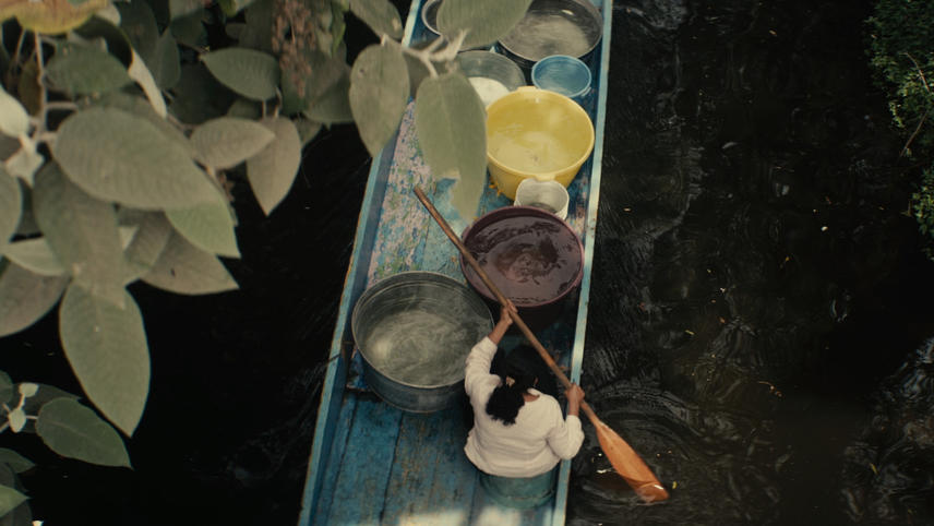 Mai morire What's On MUBI?