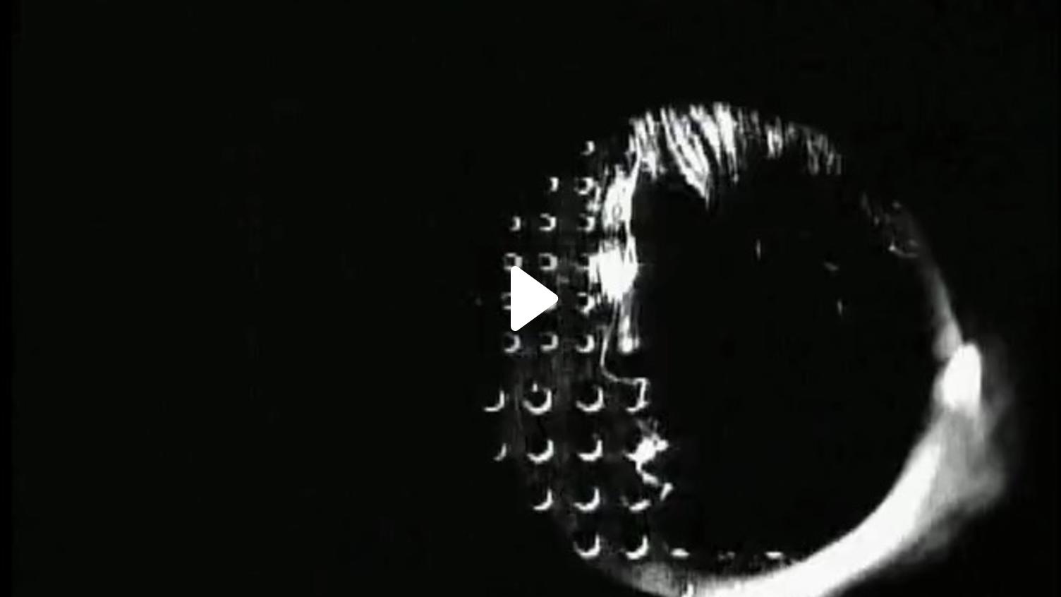 image-w1504_overlaid.jpg?