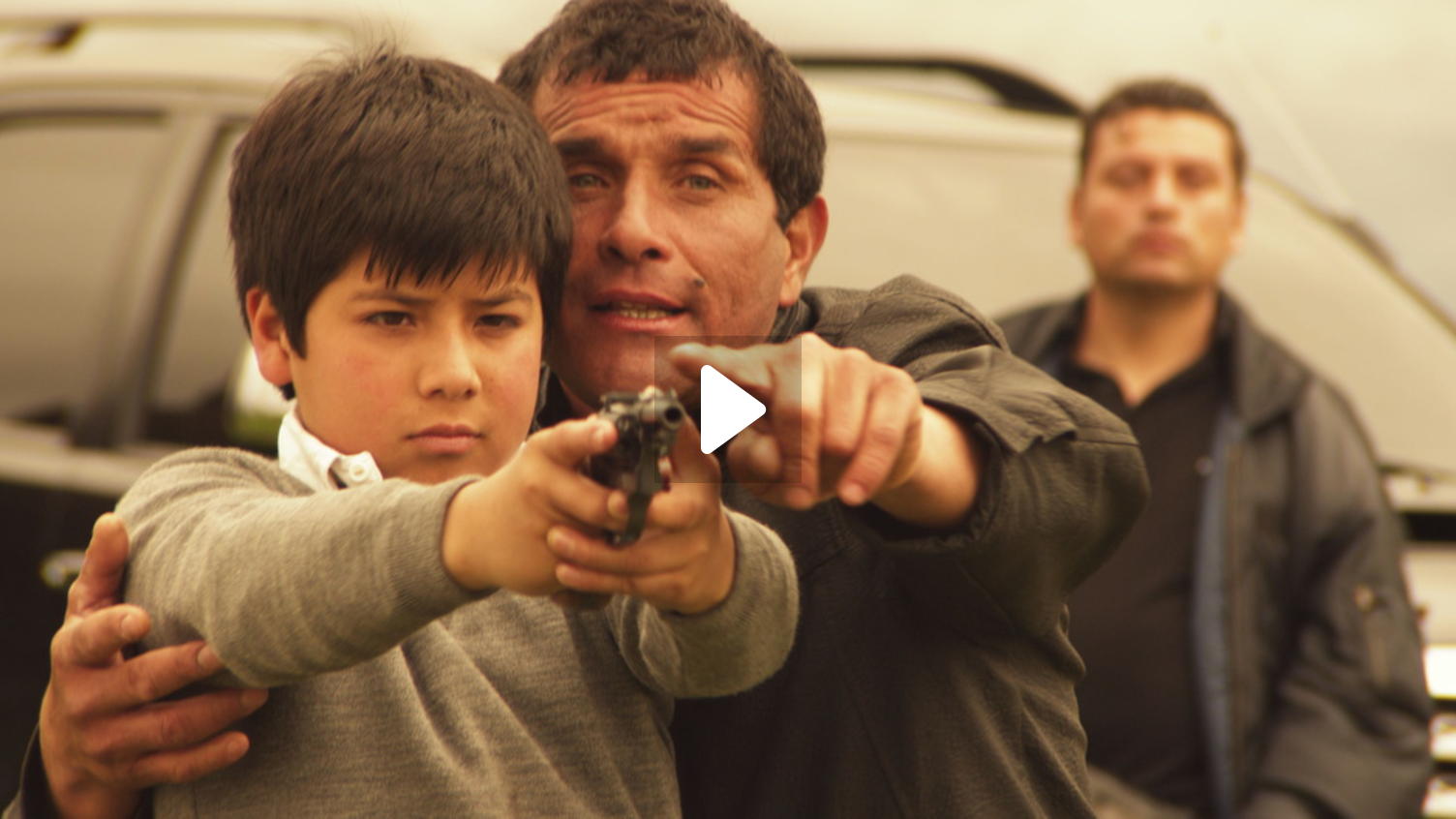 Field of Amapolas (2012) | MUBI