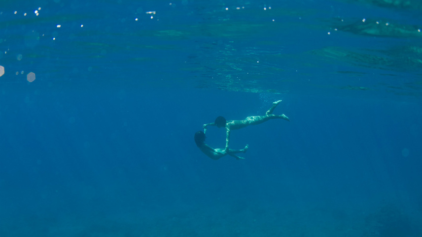 Still the Water