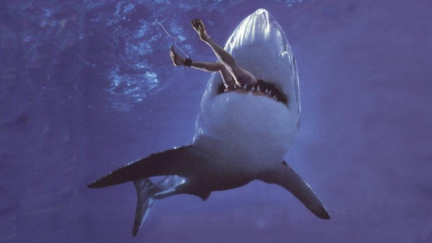Malibu Shark Attack (2009) | MUBI