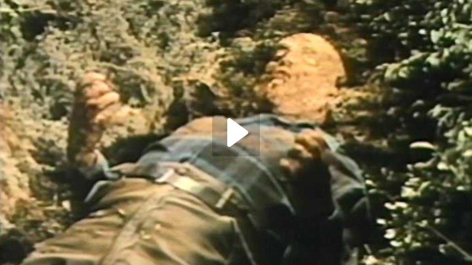The Navy vs. the Night Monsters (1966) | MUBI