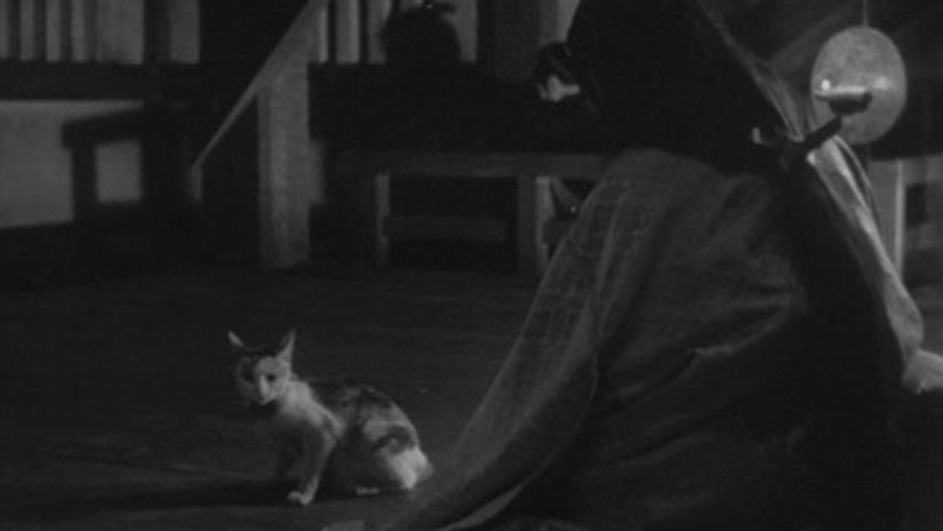 CRAPJOE Cat was Dead 野崎森男 野崎真助 CD Morio image-w856.jpg?1745492575