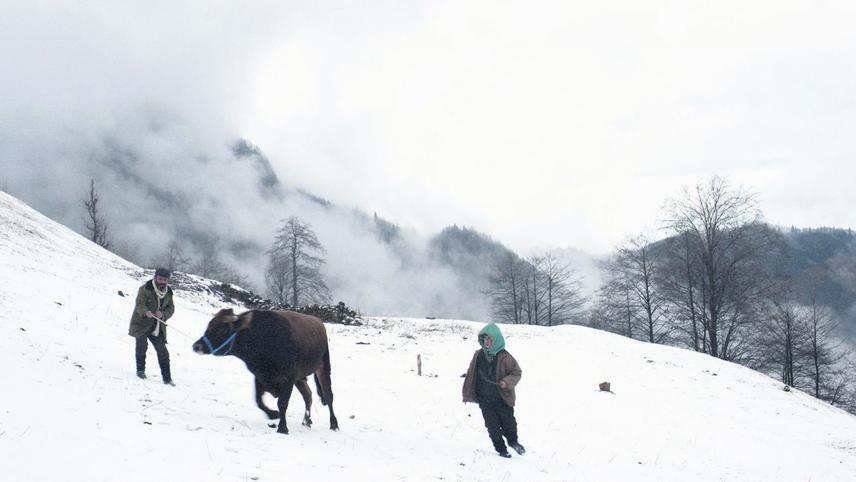 Cold of Kalandar