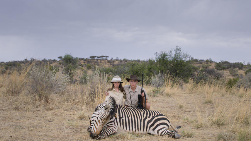 Safari
