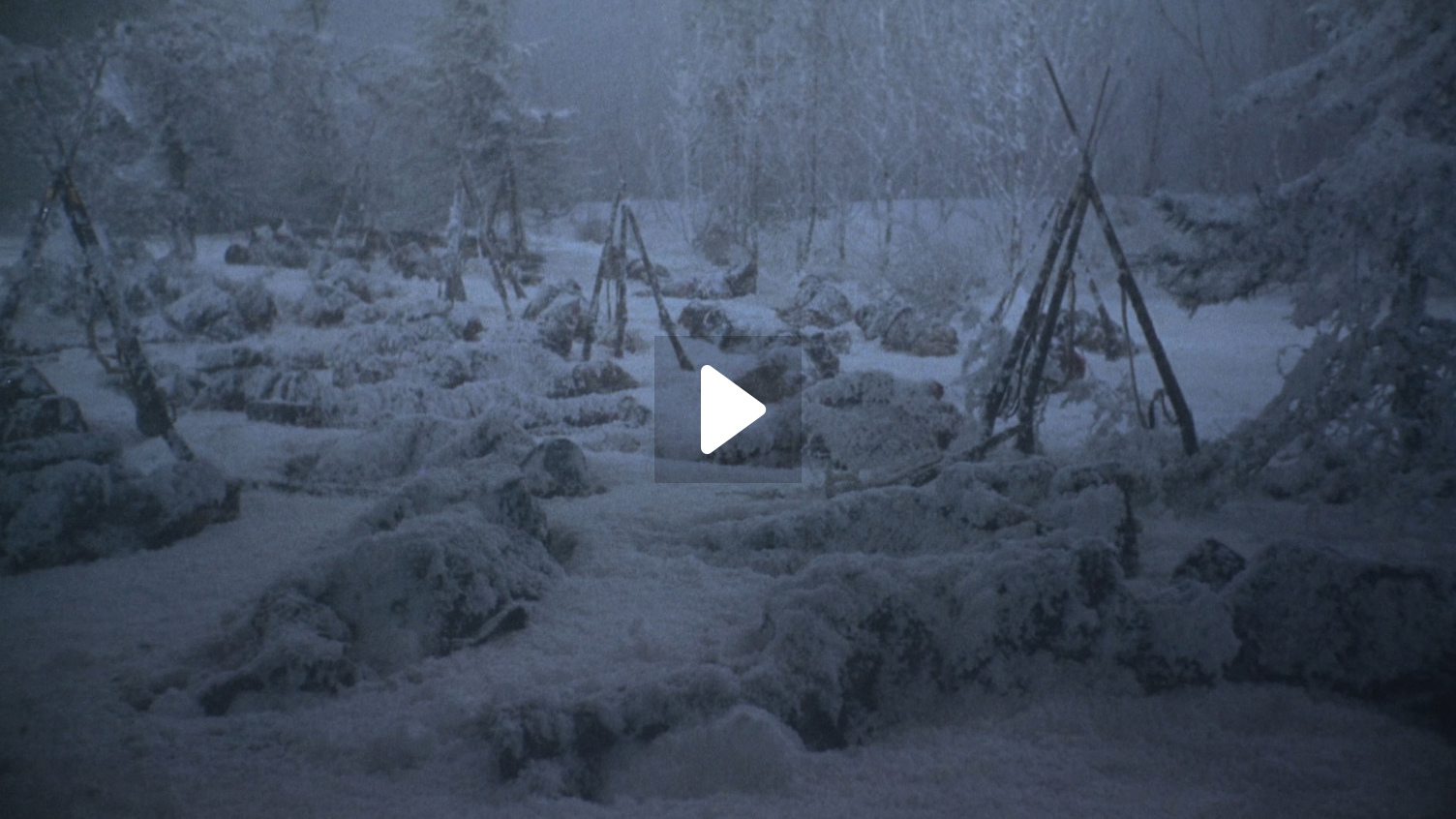 The Psychology of the Peacekeeper: Lessons from the Field: Psychological  Dimensions to War and Peace Thomas W. Britt Praeger - Bloomsbury, image size:1504x846