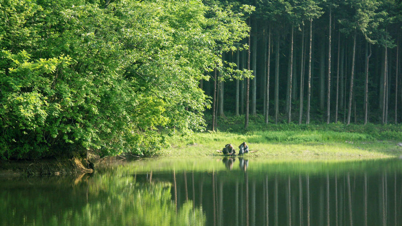 Hana (2006) | MUBI