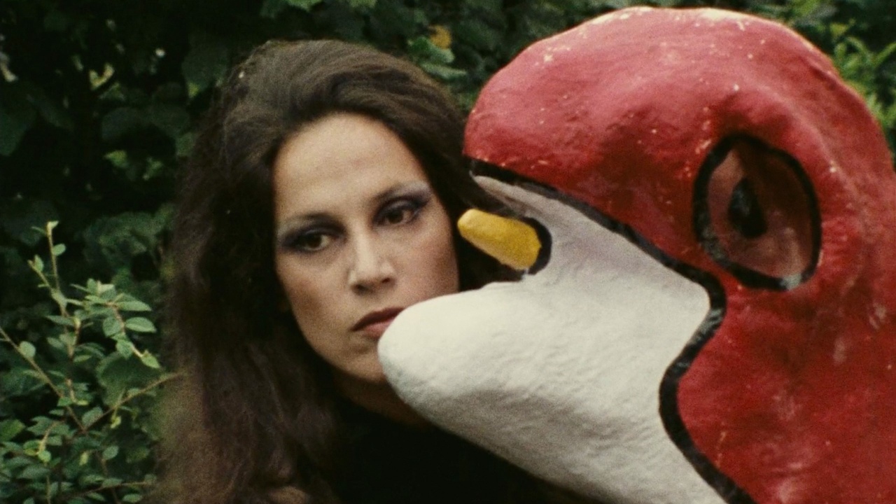 Thumbnail for A Dream Longer Than the Night