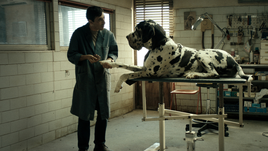 Dogman