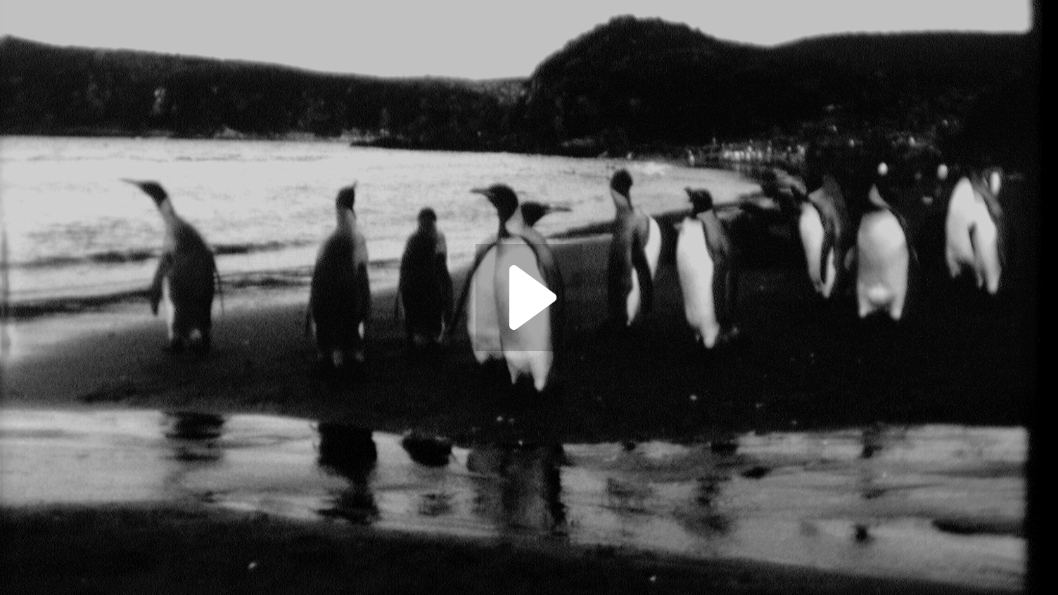 image-w1504_overlaid.jpg?