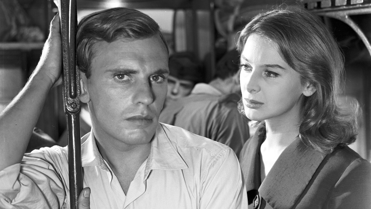 Thumbnail for Violent Summer