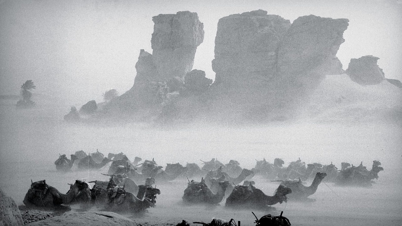 In the Desert Movies List on MUBI