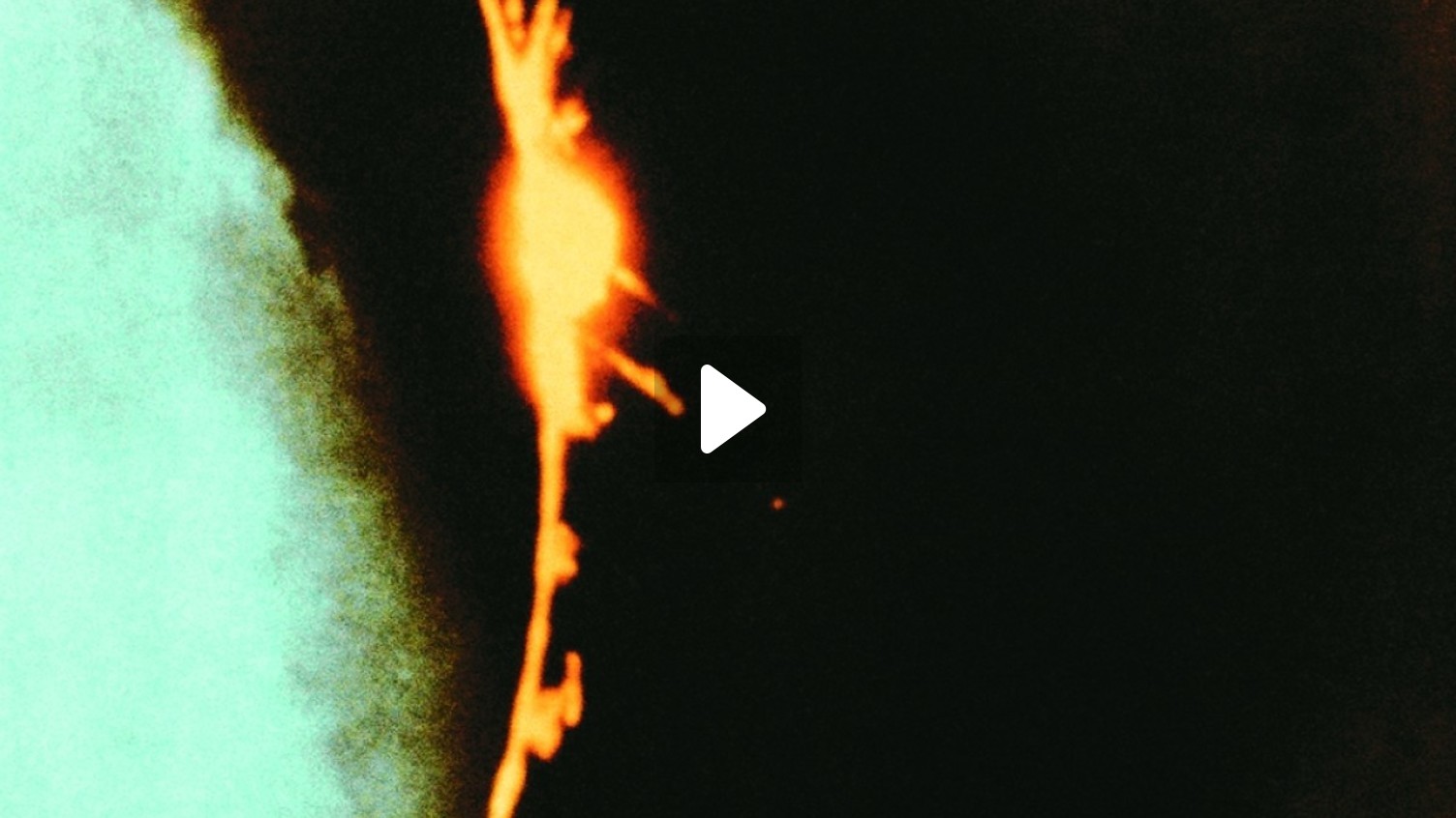 Dog Star Man (1964) | MUBI