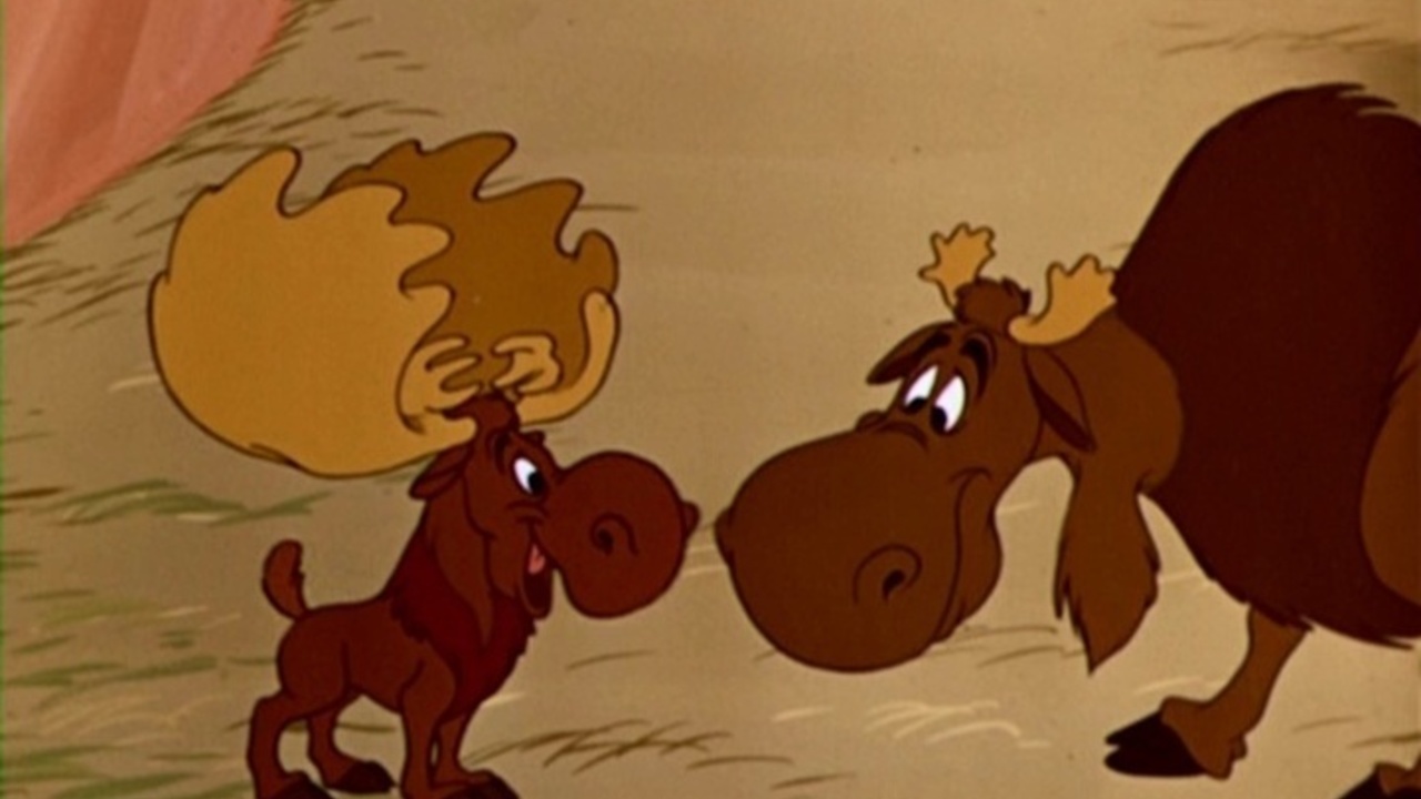 Cartoon Moose Film cartoon-moose-film