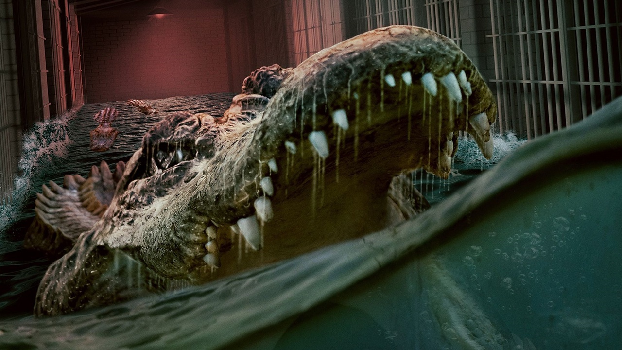 The Flood (2023) | MUBI