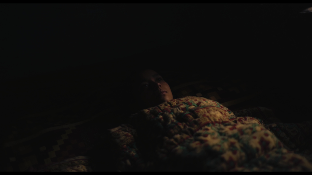 Thumbnail for The Last Rhododendron