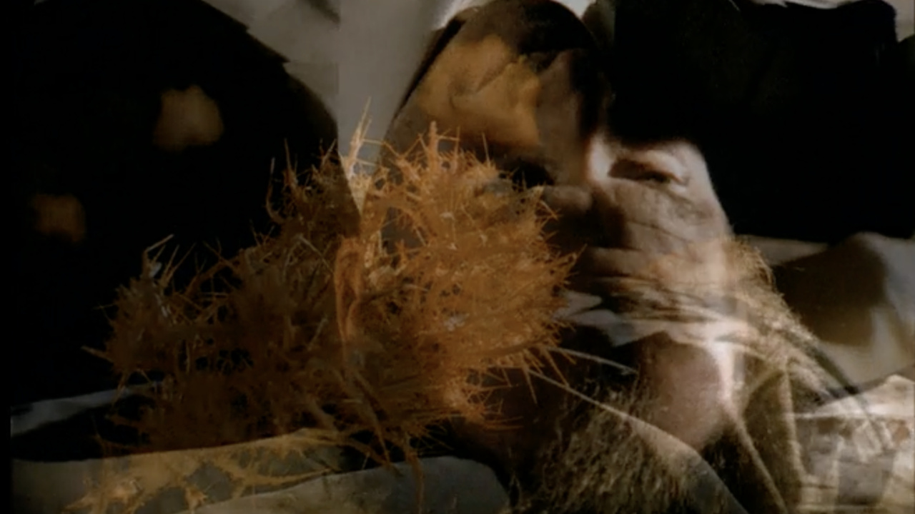 Thumbnail for Song of Sea