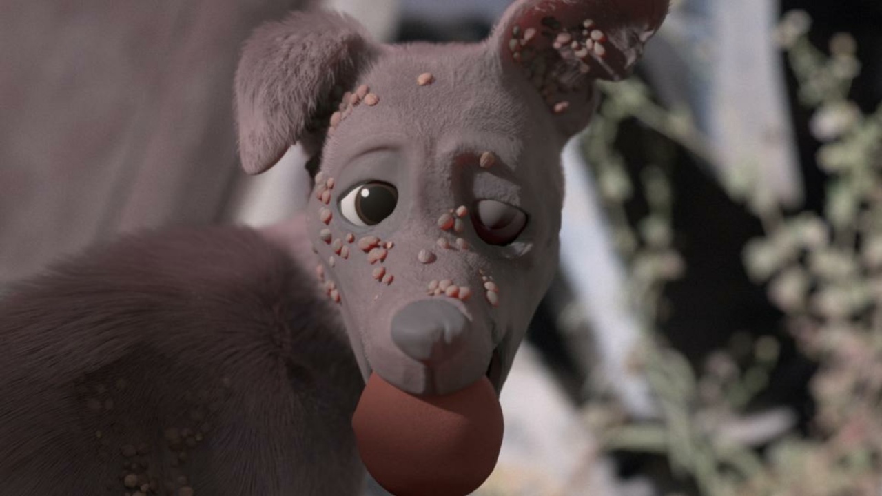 La carretera de los perros (2024) | MUBI