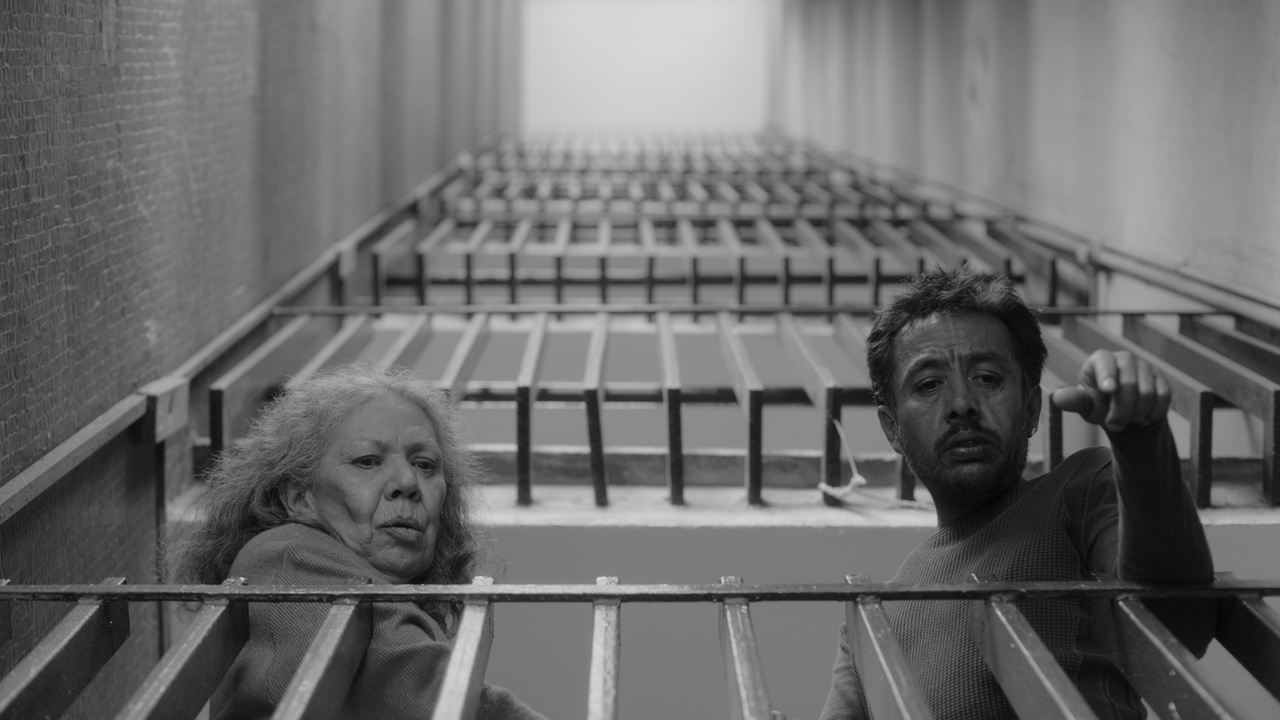 Thumbnail for We Shall Not Be Moved