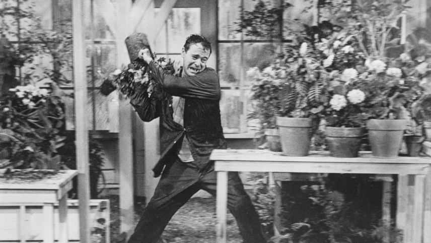 Days of Wine and Roses (1962) | MUBI