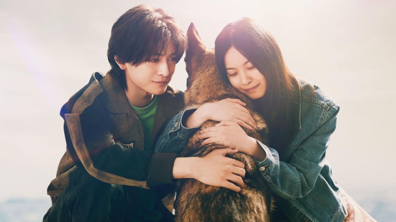 邦画・日本映画 boy YESASIA: Express Boy (Vol.1-32) (End) (China Version) VCD