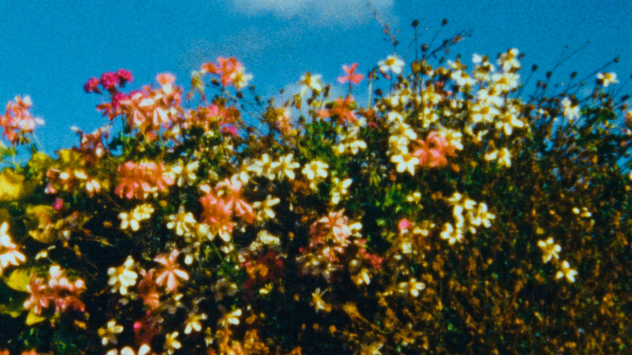 Thumbnail for I Saw the Face of God in the Jet Wash