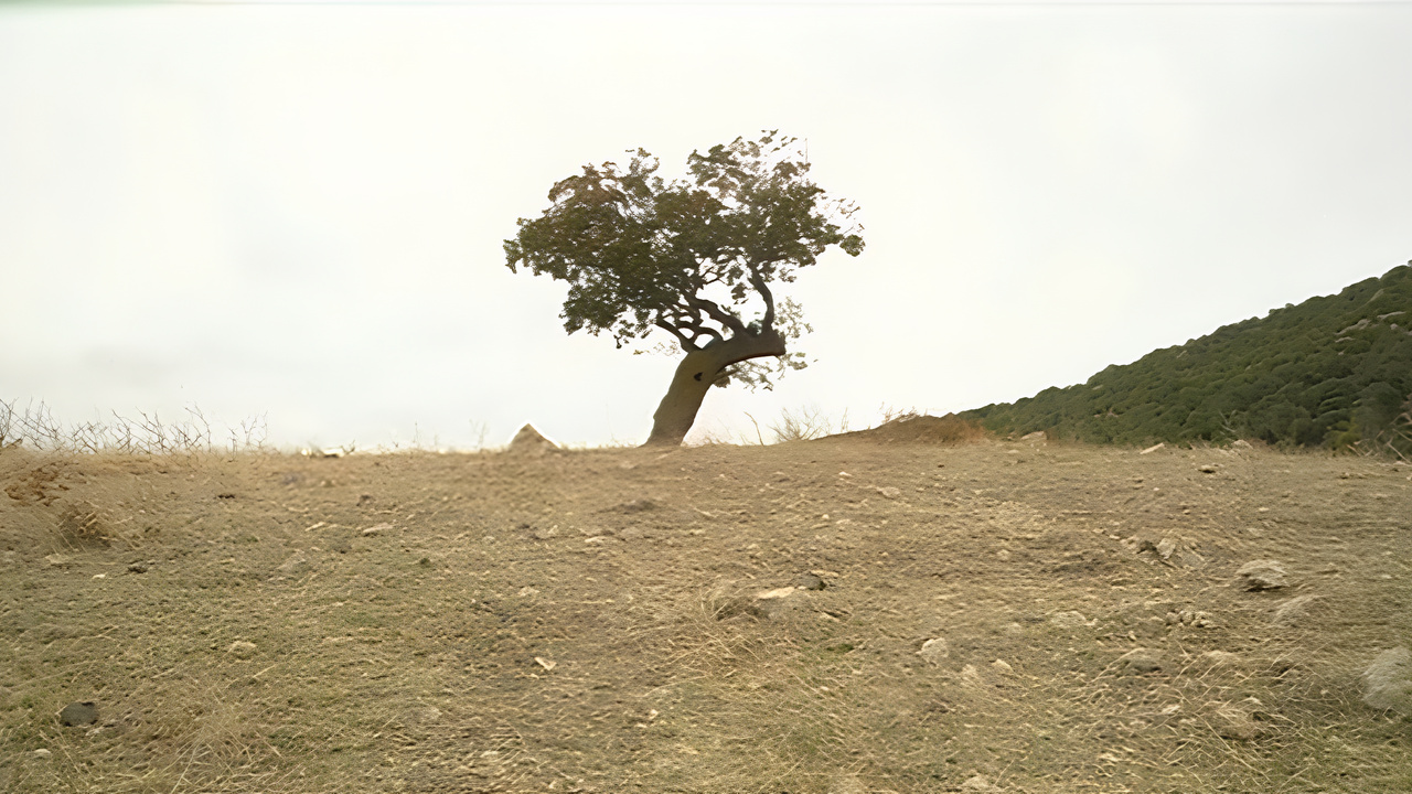 Thumbnail for Any Time in October