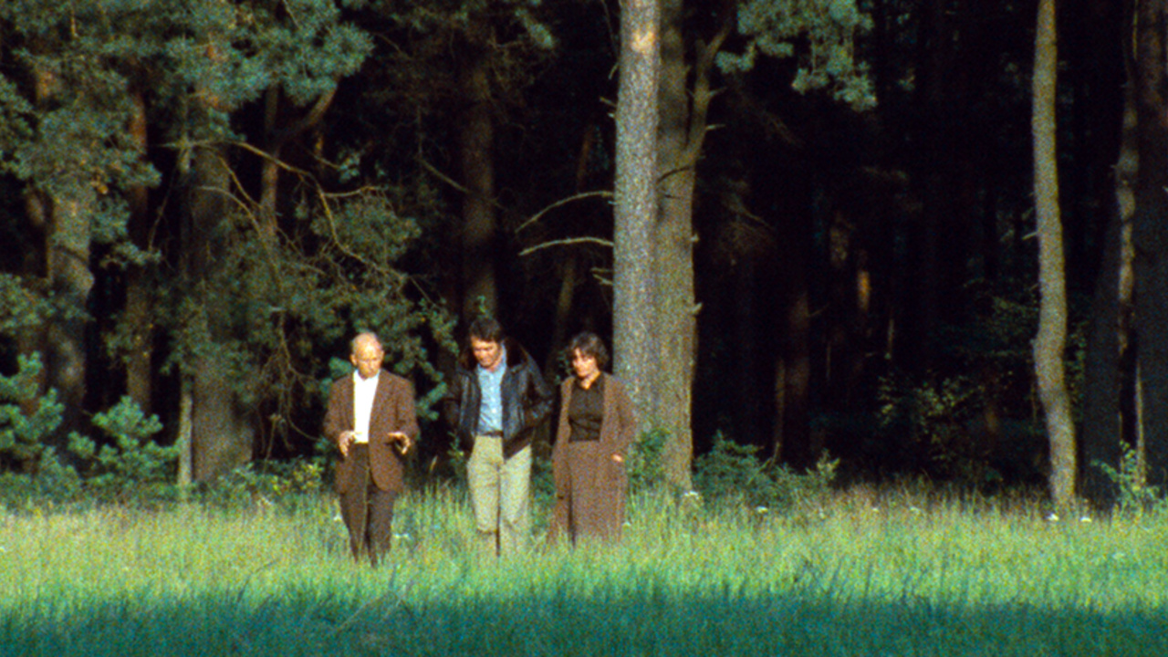 Thumbnail for Shoah: Part Two