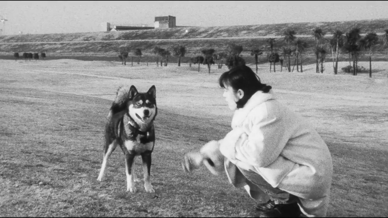 Dog (2003) | MUBI
