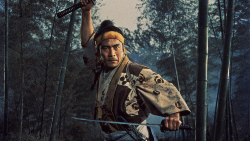 Samurai II: Duel at Ichijoji Temple (1955) | MUBI