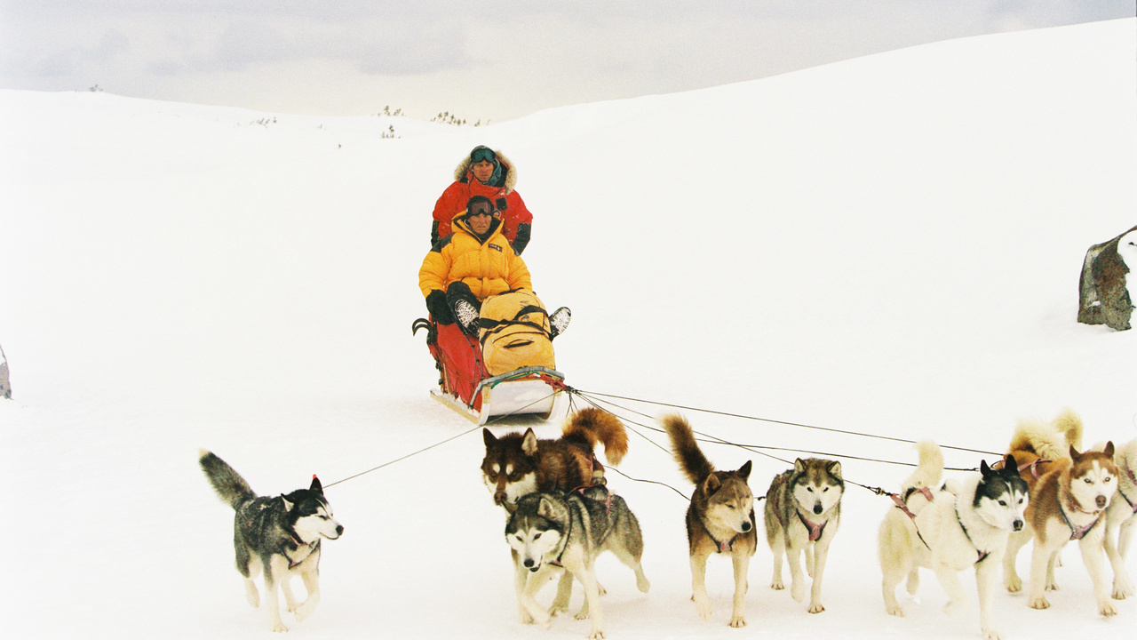 Eight Below (2006) | MUBI, image size:1280x720