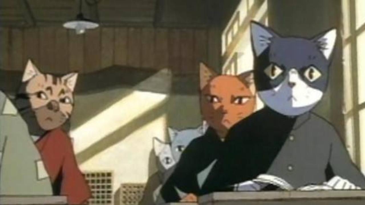 Spring and Chaos (1996) | MUBI