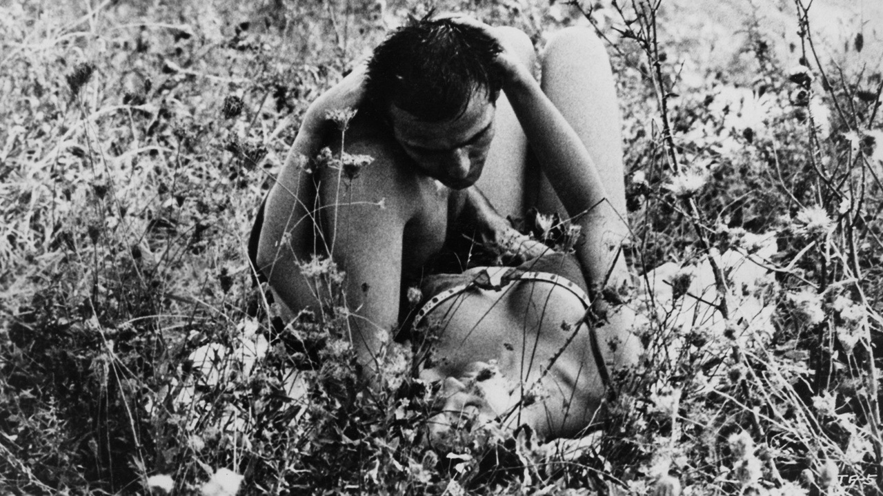 Thumbnail for The Fiances