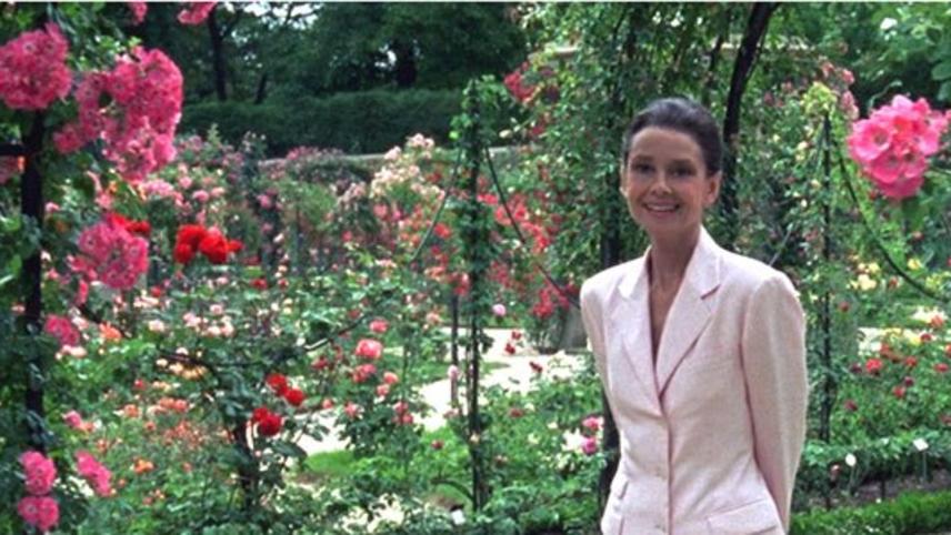 Gardens of the World with Audrey Hepburn (1993) | MUBI