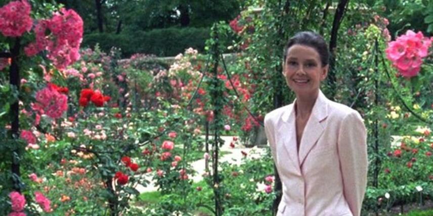 その他 Gardens of the World With Audrey Hepburn [DVD] Amazon.co.jp: Gardens of the World With Audrey Hepburn [DVD