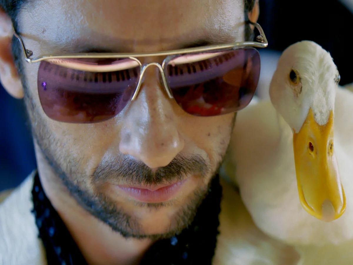 Rushes | AI Script Readers, White House Theater Demolished, Austria ...