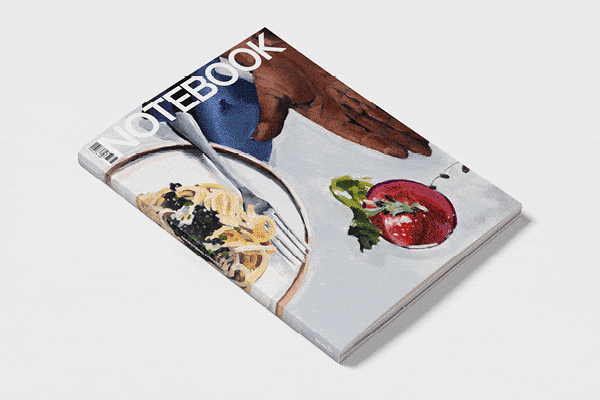 Table of Contents | Notebook Issue 8: “Shoestring Spaghetti” on